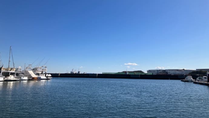 潮流れないと無理(´Д`) 東京湾 中深海便 2025/2/20