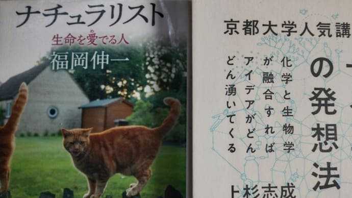 秋の読書は実践しながら