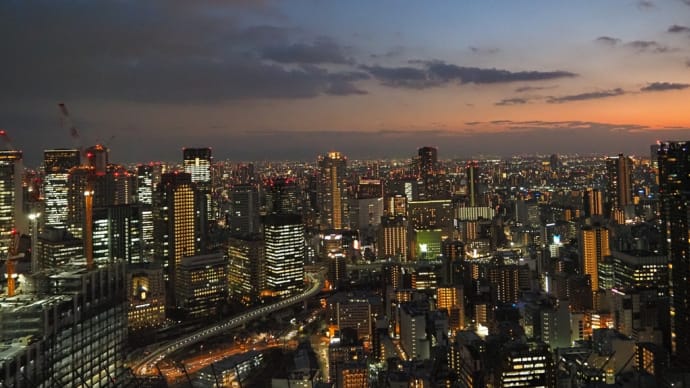 空中庭園からの夜景