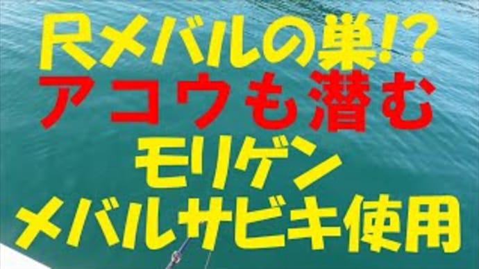 尺メバルの巣を発見!瀬より深みを攻めると大型が釣れる!