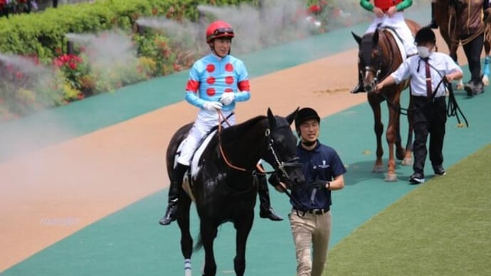 頑張れ!3歳未勝利戦2