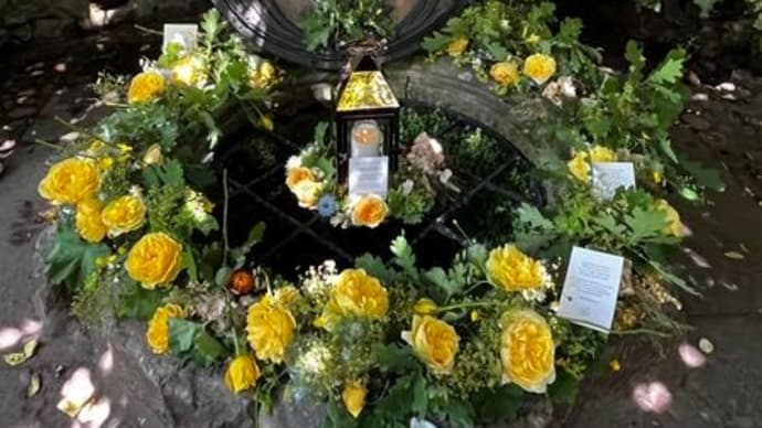 スターコンパス様☆ 10周年&移転記念オープンデー開催のお知らせ♪♪