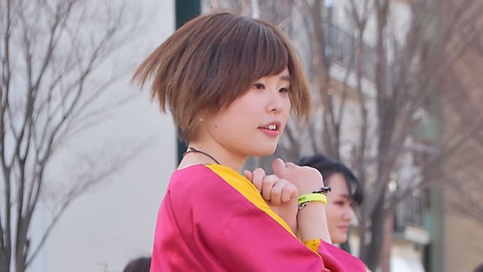 第19回浜松がんこ祭り-その6(みちのくYOSAKOI THE!!駆波”乱、東京農業大学YOSAKOIソーラン同好会”百笑”、華日和)