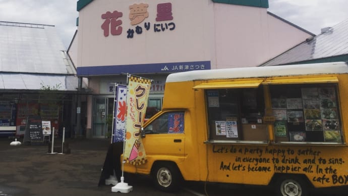 ☆綺麗なお花☆