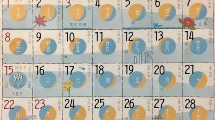 ◉11月の出没予定です 2020◉