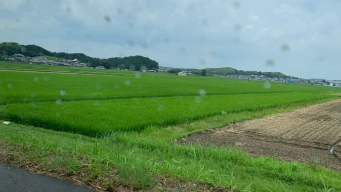 視察研修
