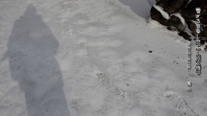 雪〆る音