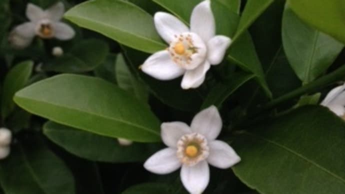 今から夏のために、希望の種を蒔こう