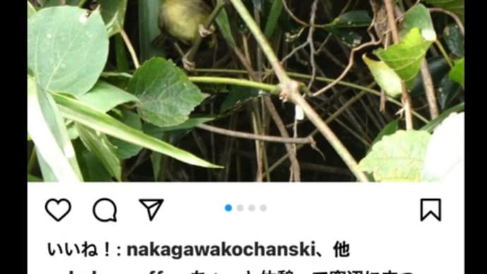 年齢を脱ぐ。