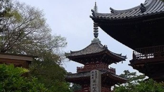 加古川市 鶴林寺の紫陽花
