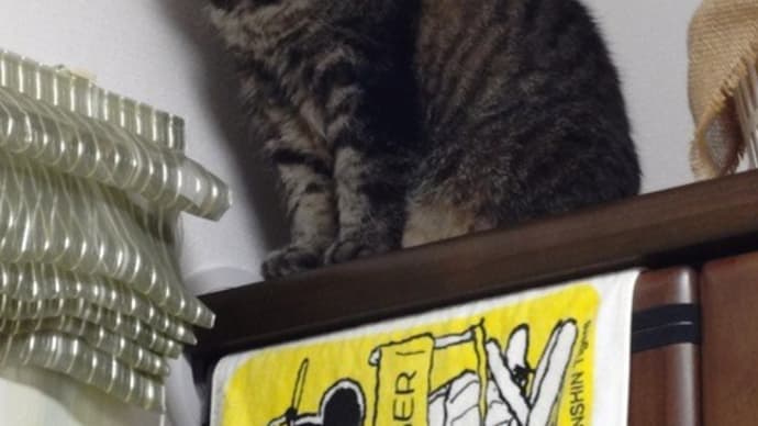 これ以上は