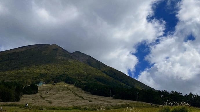 大山周辺 紅葉の様子