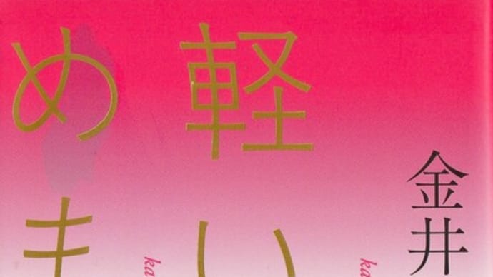 『軽いめまい』、評価されなかった大傑作ー金井美恵子を読む④