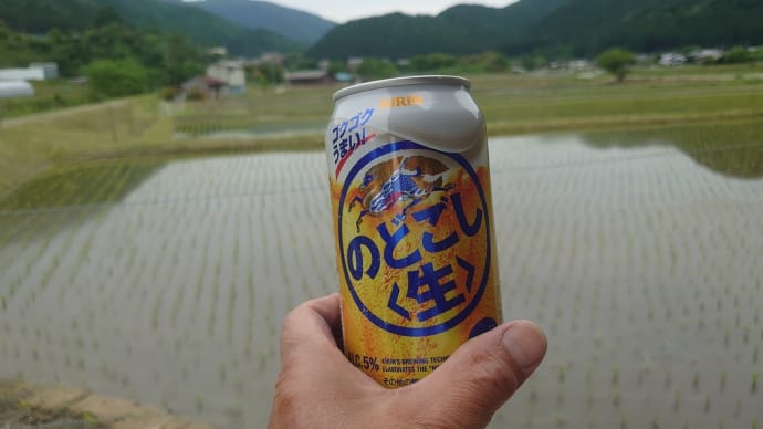 田植えⅡ