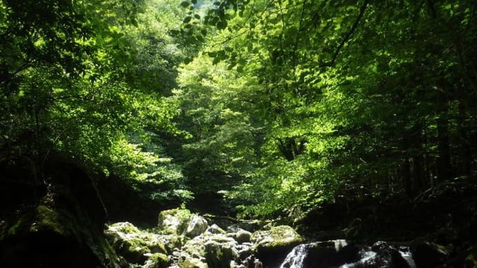 2024年8月24日(土)　[宍粟]音水渓谷へ、ぱしゃぱしゃ沢遊び。温泉施設でトロッコに乗る!
