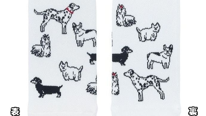 犬柄 ボトルカバー・ダックス ミニポット入荷