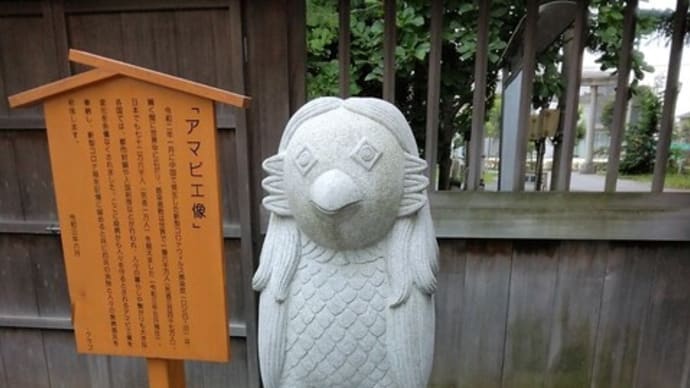 写真をとってきました