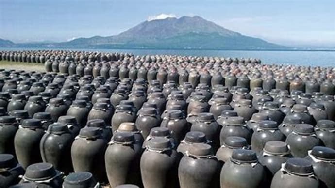 黒酢の日!(*^_^*)