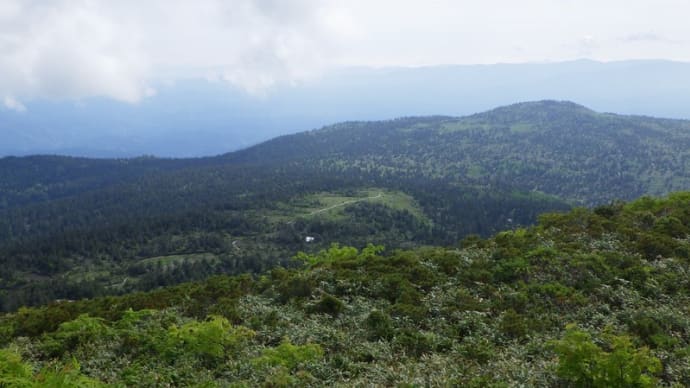 森吉山(花の山)