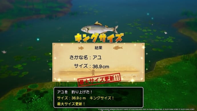 ドラクエでも魚釣り!
