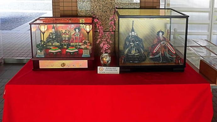 ひな人形展示と塗り絵募集(2023/2)