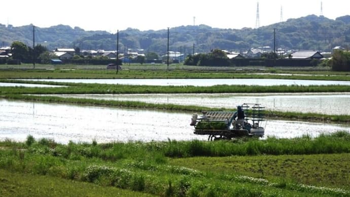 農業用ドローンを使って 肥料散布