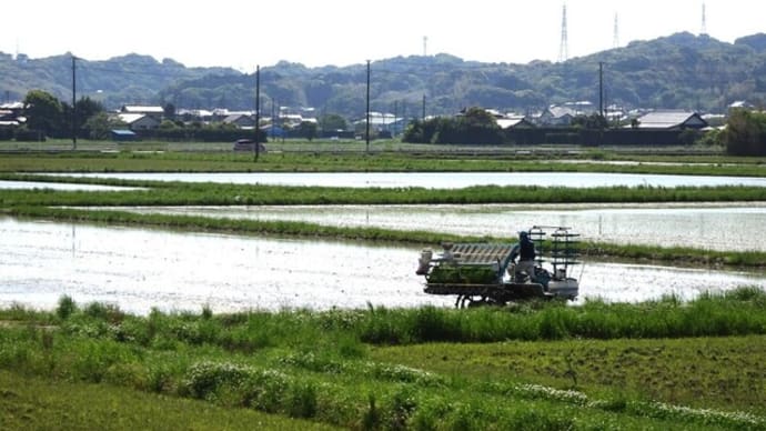 農業用ドローンを使って　肥料散布