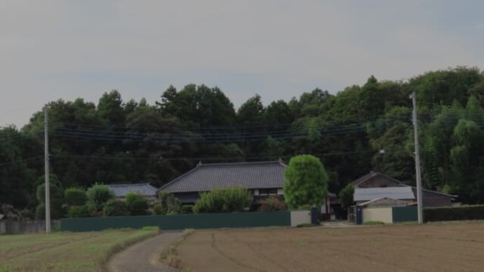 8月のお休み等のお知らせ 