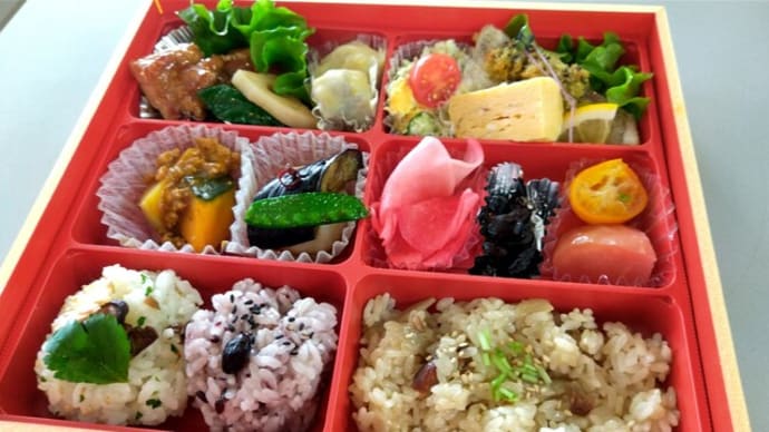今日のお弁当 チキン甘酢あん、鶏ごぼう入り
