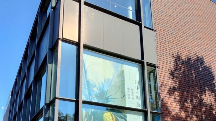 2024年11月13日 田中一村展