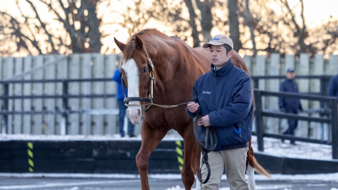 【ウィルテイクチャージ (Will Take Charge)】がスタッドイン