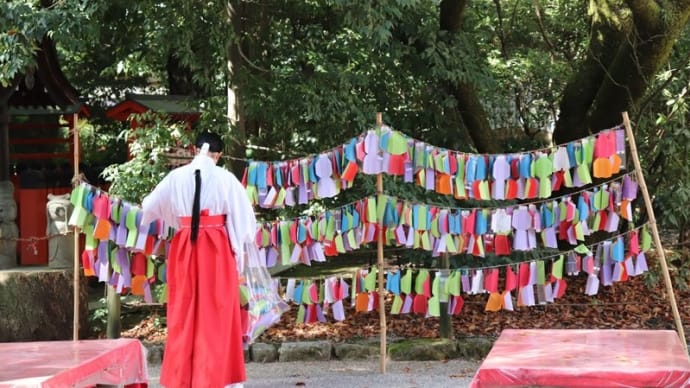 賀茂川(15)下鴨神社