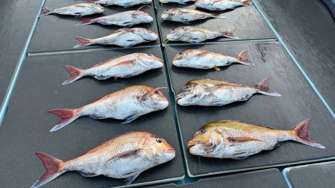 タイラバ