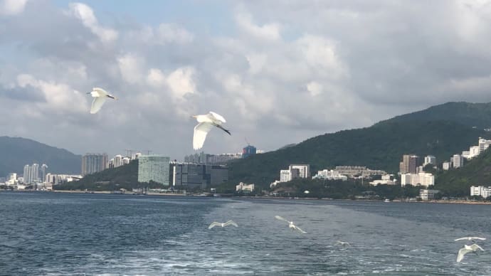 思い出づくりー香港最北端の島へ