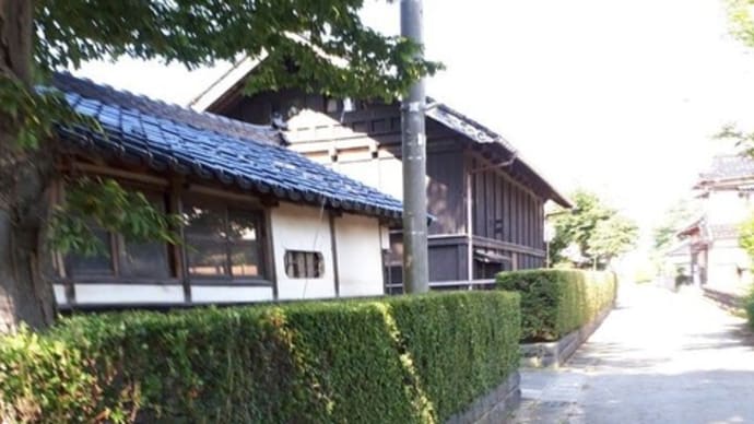 生け垣の剪定2023