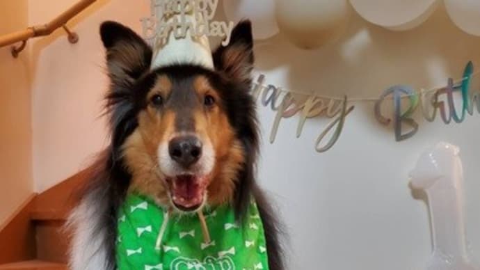 お友達のお誕生日