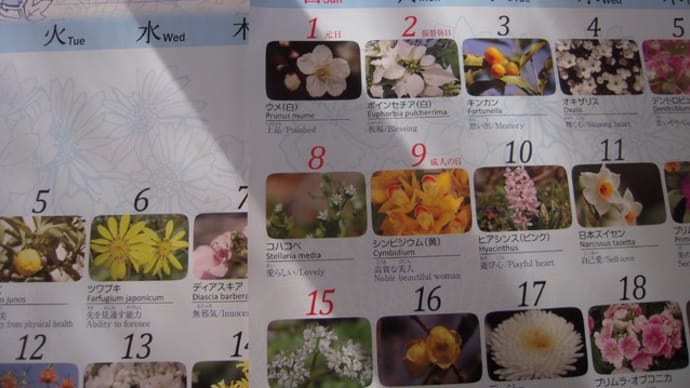 今年の私の漢字は、「花」かな・・・。