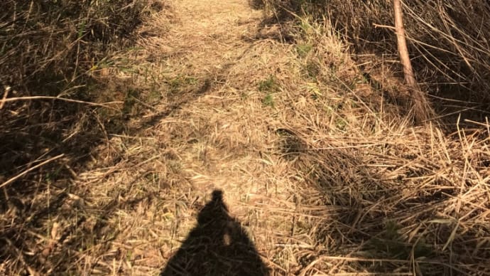 造成予定の山は話が大きくなってきまして