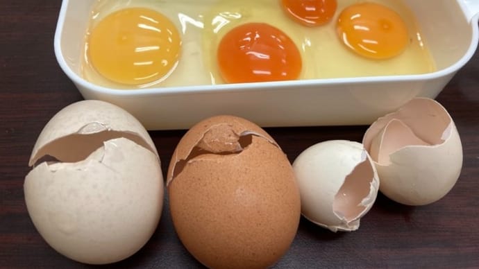卵スペシャル～最高のTKGを求めて～ ／ Tasting of 4 eggs