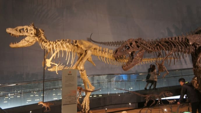 恐竜はなぜ絶滅したの?昔の地球について詳しく知ろう!