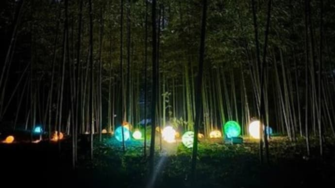 里山で音と味と光を楽しむ　