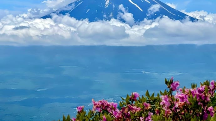富士山麓（二日目）三ッ峠山他…カモメラン、キクイタダキなど…