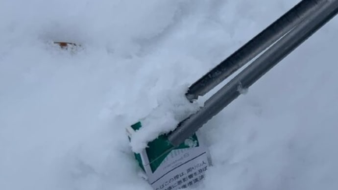 冬でもごみ拾い