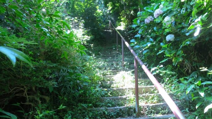 称名寺市民の森ハイキング