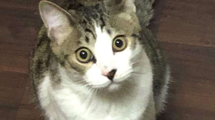 ジーッ👁