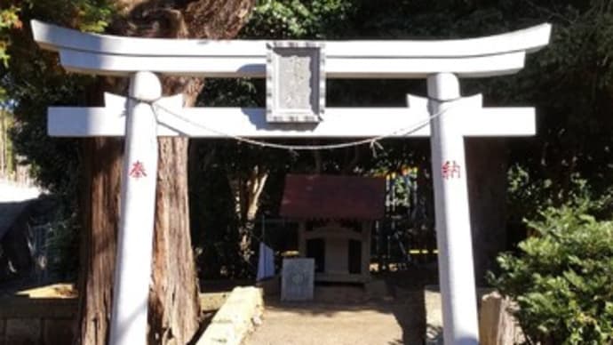 菜園の記憶