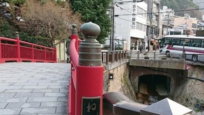 神戸フラワーパークイルミネーション