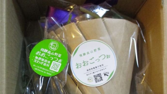 【マルシェルモニター限定購入商品】飛騨高山野菜『おおごっつぉ』おためしセット