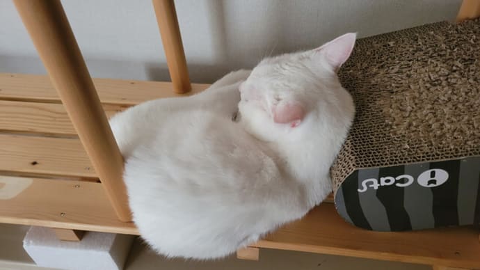 OFFにするにはまだ早い