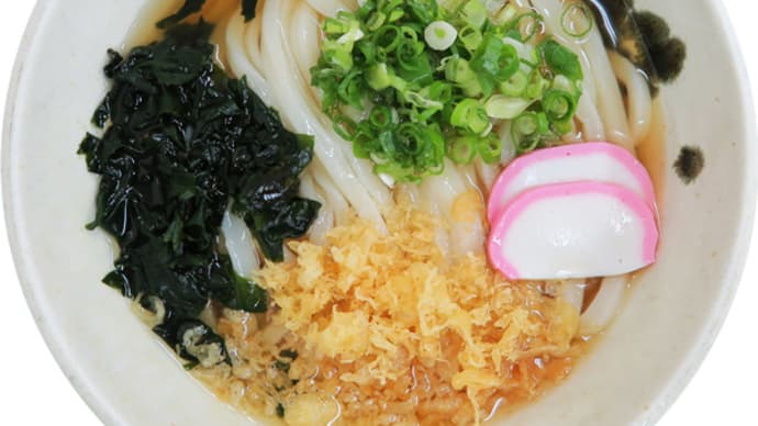 手打ちうどん おのしん@笠岡市「冷やしかけ」